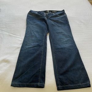 7 for all kind , Men’s Jeans, size 32.